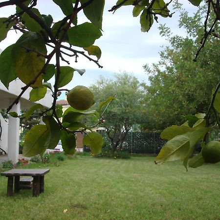 Grazia Deledda Bed & Breakfast Galtelli Ngoại thất bức ảnh