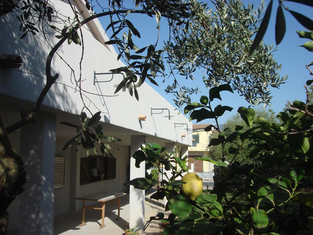 Grazia Deledda Bed & Breakfast Galtelli Ngoại thất bức ảnh