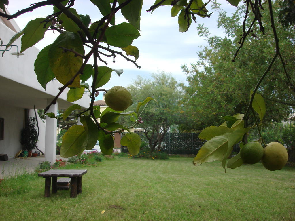 Grazia Deledda Bed & Breakfast Galtelli Ngoại thất bức ảnh